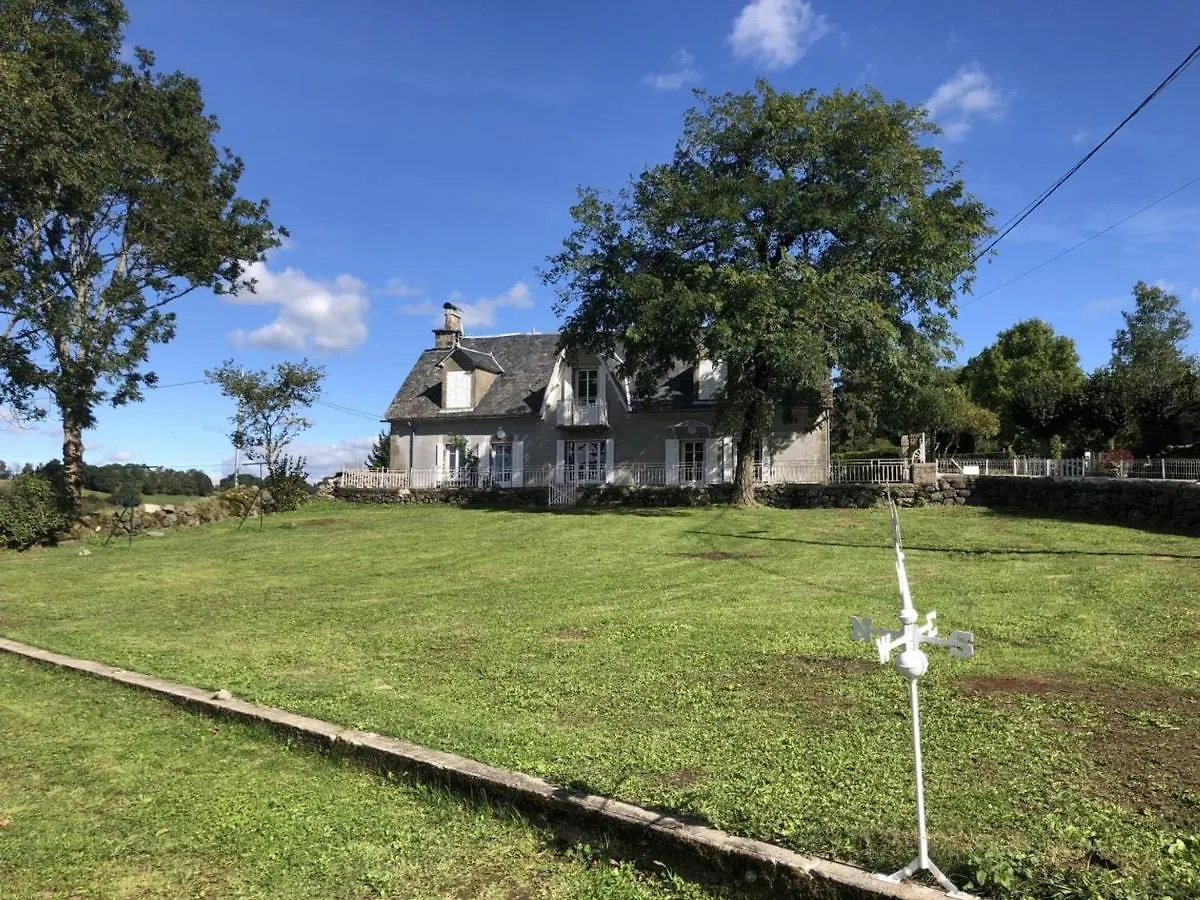 Maison De Charme Renovee, Au Coeur Du Parc Des Volcans D'Auvergne, Proche De Salers Et Activites Nature - Fr-1-742-499 Villa Saint-Bonnet-de-Salers