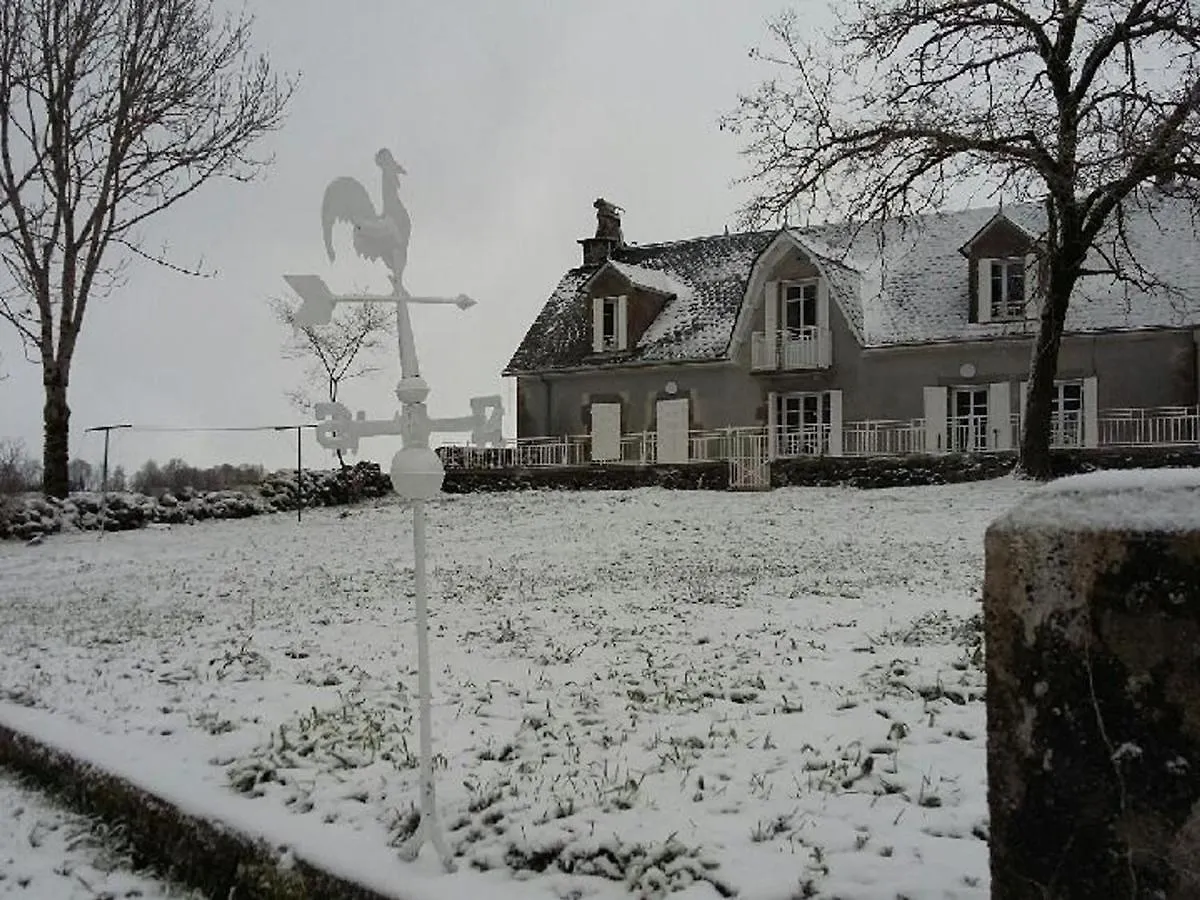Maison De Charme Renovee, Au Coeur Du Parc Des Volcans D'Auvergne, Proche De Salers Et Activites Nature - Fr-1-742-499 Villa Saint-Bonnet-de-Salers France